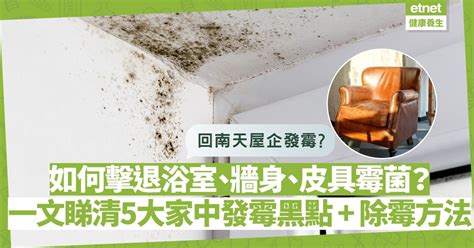 如何去除發霉|【家居除霉】牆身發霉點算好？教你天然除霉方法！